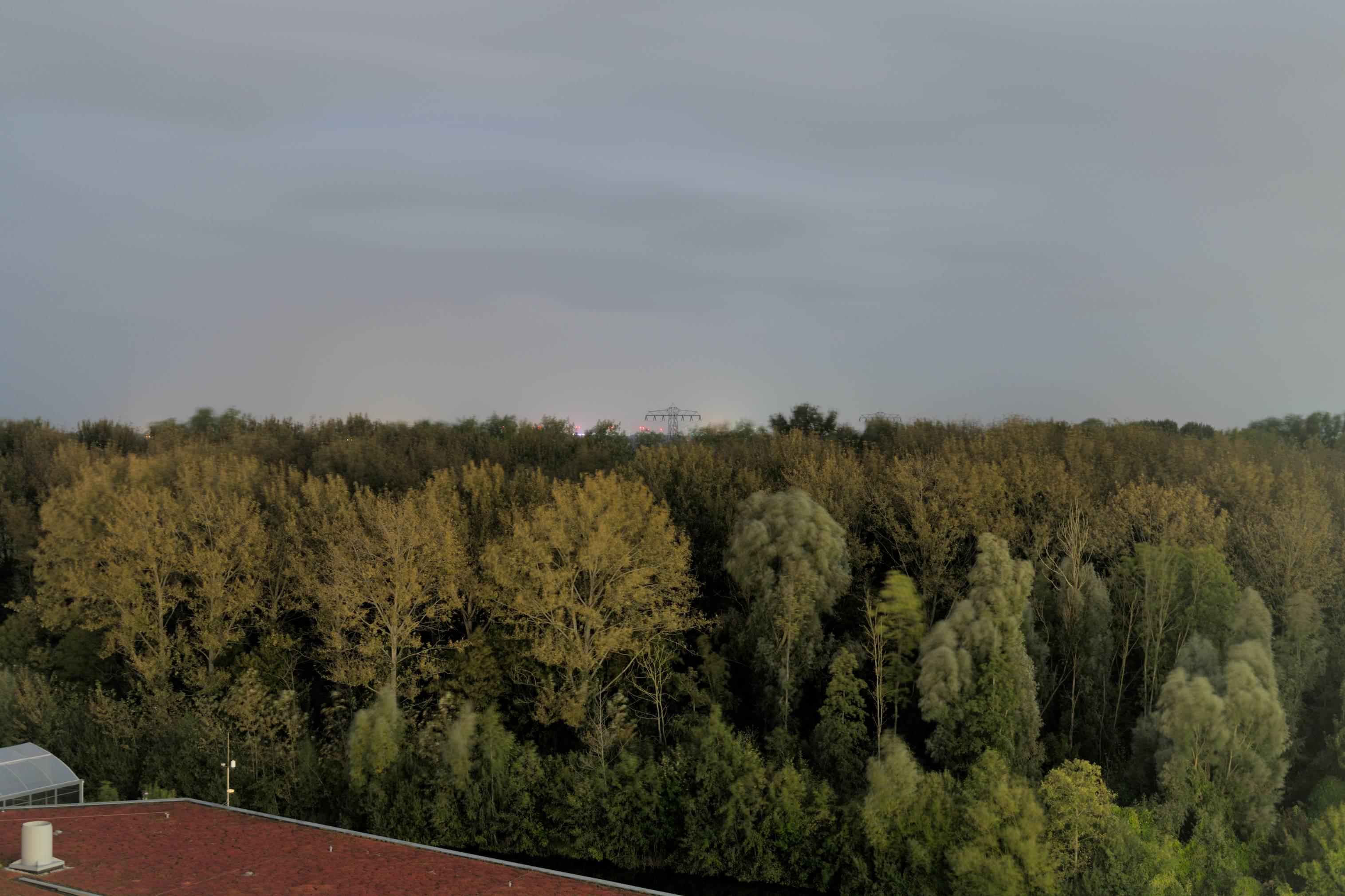A long exposure shot of a bunch of trees at night. Right in the center far away is an electrical pole and you see red lights from windmills in the distance. The trees look very very soft because when they move in the wind they become blurred out in the long exposure recording.